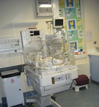 Maternity